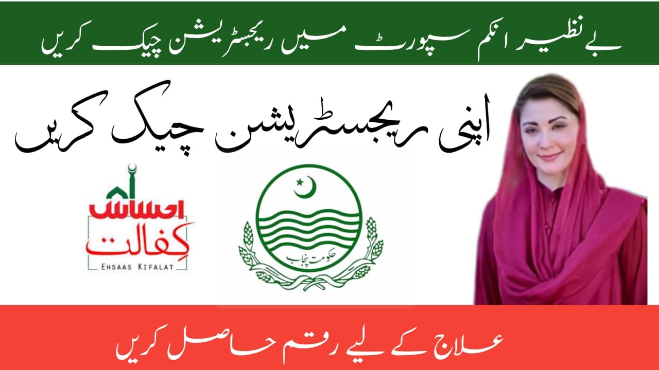 BISP 8171 Result Check Online By CNIC For Peoples